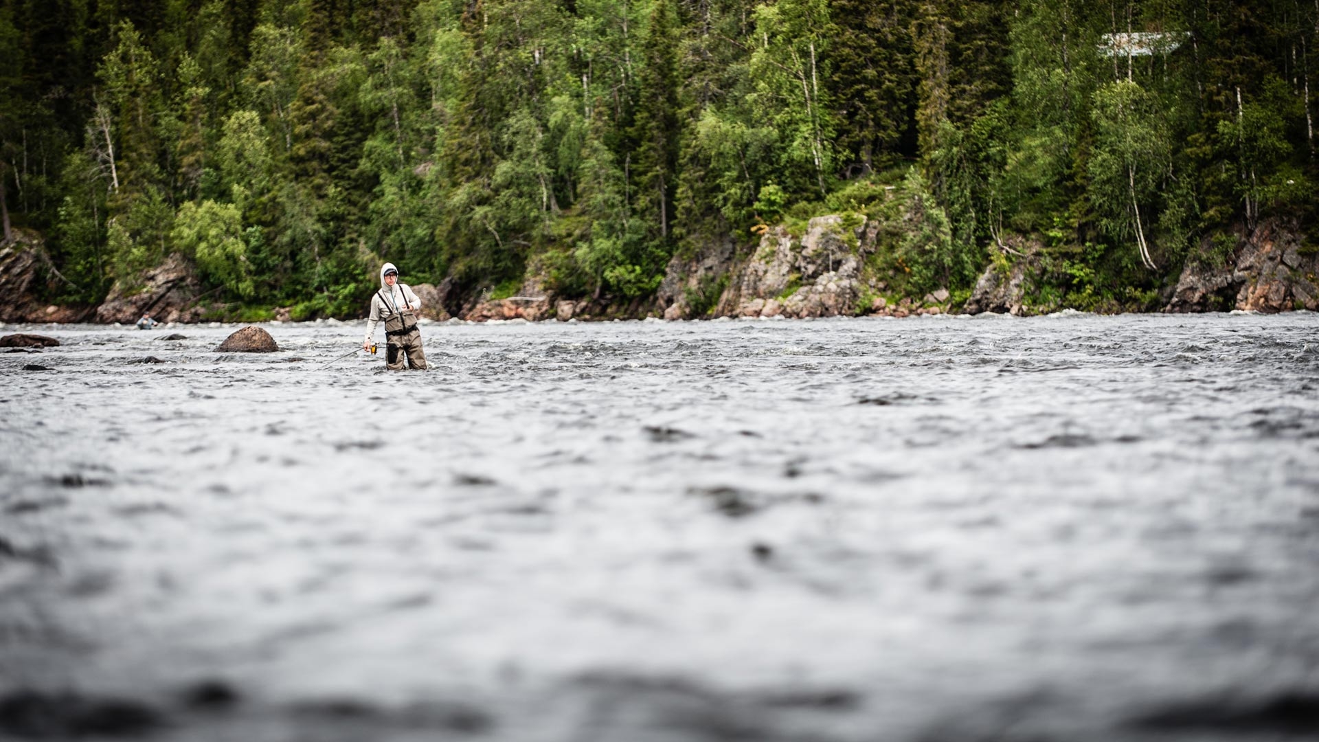 Lapland Fishing Report July